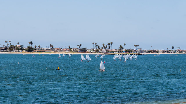sailboats regatta in a beautiful bay at sunny day