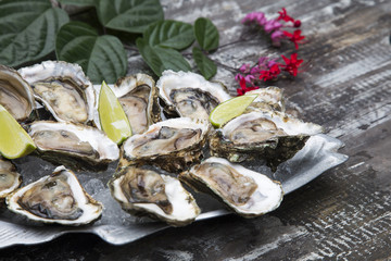 Tasty oysters on ice with lemon.