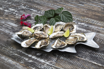 Tasty oysters on ice with lemon.