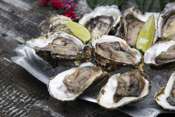 Tasty oysters on ice with lemon.