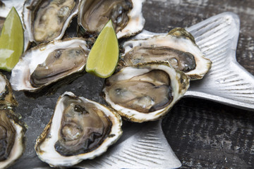 Tasty oysters on ice with lemon.