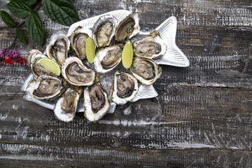 Tasty oysters on ice with lemon.