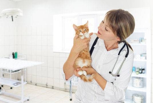 Woman of veterinary medicine and a little kitten
