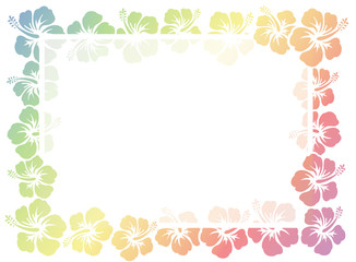 hibiscus flowers frame