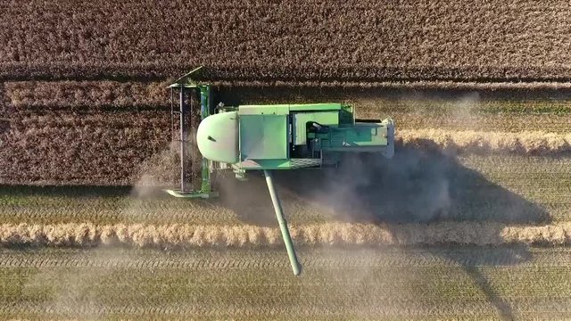 M&auml;hdrescher beim Dreschen, Luftaufnahme - Vogelperspektive