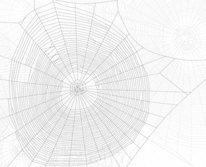 background from gray dense webs