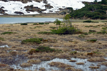 Beauty of Northern nature. Mountain river in spring landscape