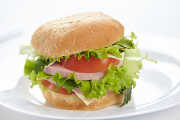 sandwich isolated on white