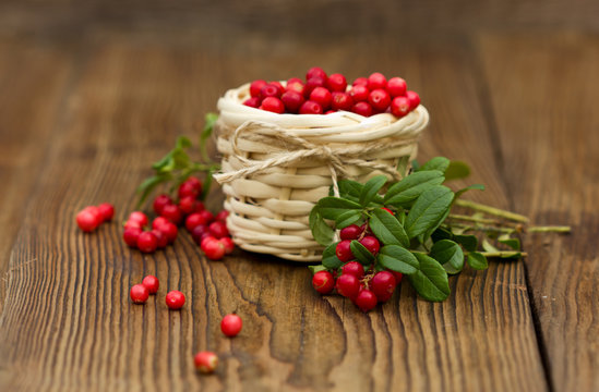 Cowberries in the basket. Forest berry.