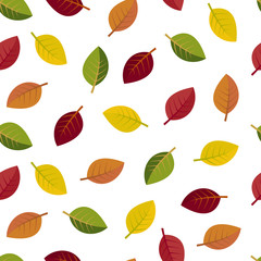 Seamless autumn leaves on a white background