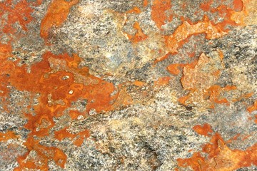 orange lichen on rock. European alps. natural full frame backgro