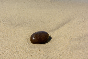 Fototapeta na wymiar Stone on Sand at Pacific Beach
