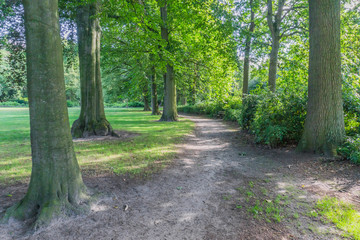 Fototapeta premium park podzielony krajobraz drogowy