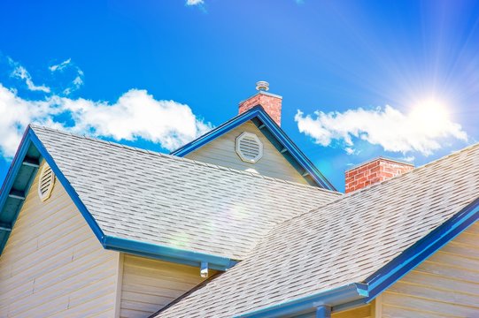 House Roof Roofing Business