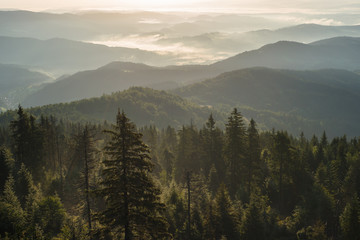 Fototapeta premium Góry we mgle, Beskidy, widok z Gorców