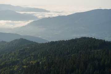 Poranek w Beskidach, widok z Gorców © Piotr Szpakowski
