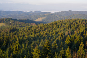Poranek w Beskidach, widok z Gorców © Piotr Szpakowski