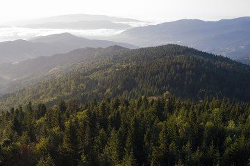 Poranek w Beskidach, widok z Gorców