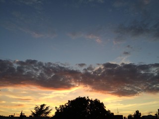 Sonnenuntergang Himmel Sommer Baum