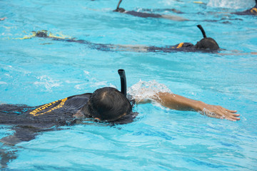 freestyle swimming pools