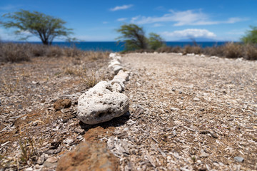 Stones on the trace