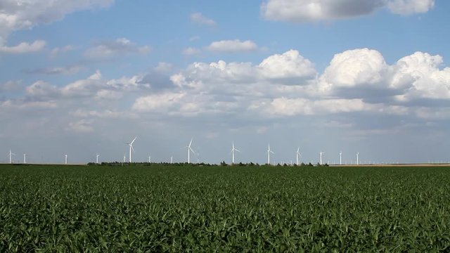 Kansas / Oklahoma - Landscape 02 Wide shot of corn field with wind turbines in distance