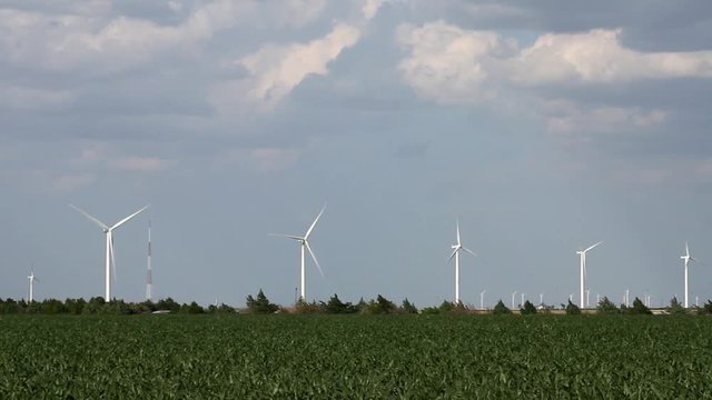 Kansas / Oklahoma - Landscape 01 Medium-wide shot of corn field with wind turbines on horizon, shot with long lens