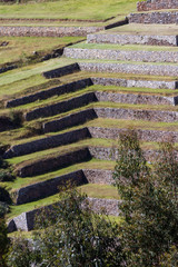 Inca farming terraces