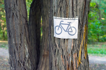 Fototapeta premium Bicycle sign on the tree