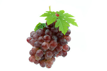 red grape isolated on white background