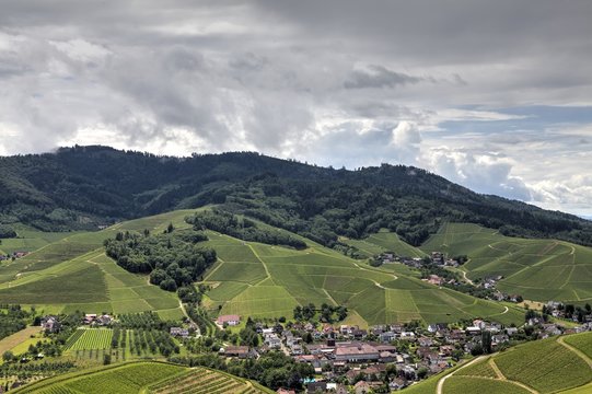 Blick von Schloss Staufenberg auf Durbach