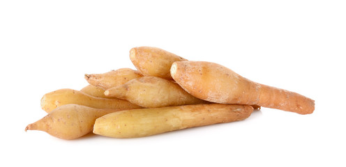 finger root isolated on the white background