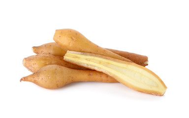 finger root isolated on the white background