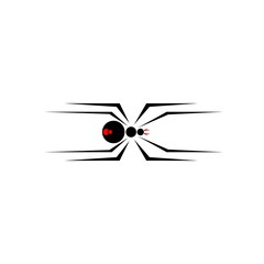 Spider - Black Widow 3