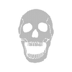 Black and white human skull
