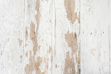 Old white wood texture - vintage background