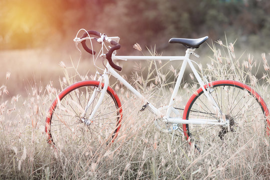 beautiful image with sport vintage Bicycle at grass field ; vint