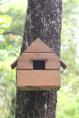 Replica house of squirrel animal on a tree in the garden.