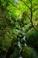 滝と新緑（愛媛県大洲市白滝）