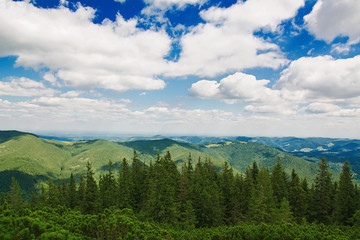Fototapeta premium Summer morning in the mountains. Carpathian, Ukraine, Europe.