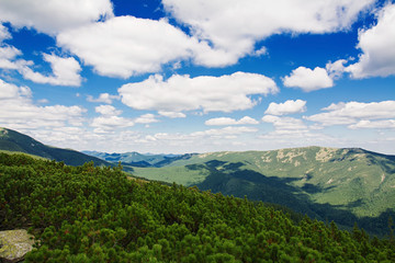Summer morning in the mountains. Carpathian, Ukraine, Europe.