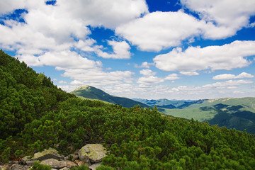 Summer morning in the mountains. Carpathian, Ukraine, Europe.