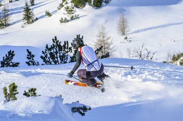 gekonnt skifahren im alpinen Gelände