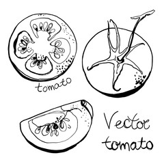 Set tomatoes drawn line. Sketch of vegetables. Branch tomatoes.