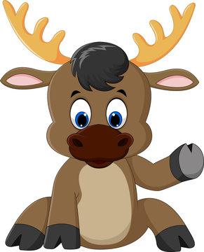 Illustration of moose cartoon