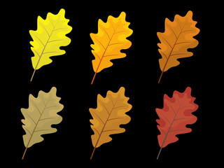 Set of colorful autumn leaves. Cartoon and flat style leafs. Black background. Vector illustration.