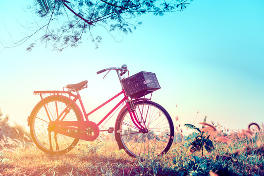 beautiful landscape image with vintage Bicycle at sunset in wint