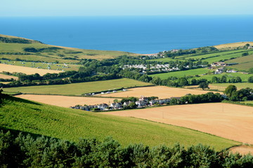 Fototapeta na wymiar Farmland in Marshwood Vale with English Channel in background, Dorset