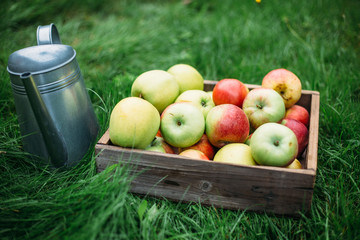 apples in wooden boxes