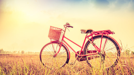 Naklejka na ściany i meble Vintage Bicycle with summer landscape background